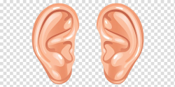 Pair of human ears graphic, Cartoon Ears transparent ...