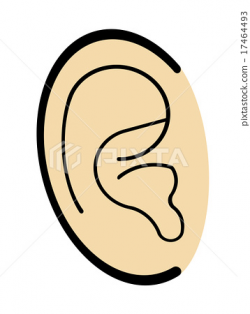 ear - Stock Illustration [17464493] - PIXTA
