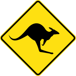 Kangaroo PNG Transparent Kangaroo.PNG Images. | PlusPNG