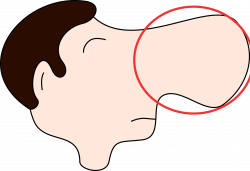 Clipart - Nose