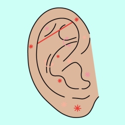 Types of Ear Piercings - Guide to Ear Piercing Placement ...