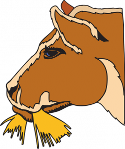 Cow Eating Cliparts#4588526 - Shop of Clipart Library