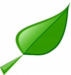 Clipart - Leaf
