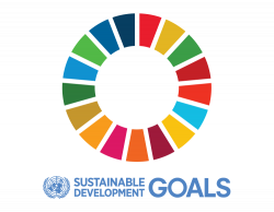 Meet the Sustainable Development Goals – UN in Montenegro
