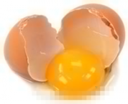 Good Egg Clipart | Free Images at Clker.com - vector clip ...