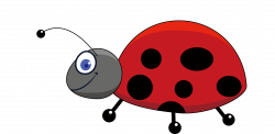 Insect Drawing Cartoon Clip art - ladybug 1711*841 transprent Png ...