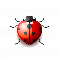 Drawing Cartoon Ladybird Clip art - Cartoon Ladybug 2362*2362 ...