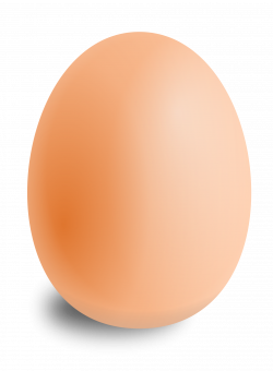 Egg One | Isolated Stock Photo by noBACKS.com