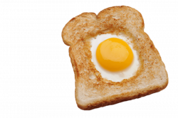Egg In A Basket transparent PNG - StickPNG