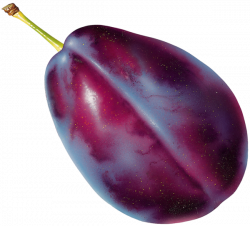 Gallery - Fruit PNG