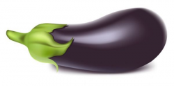 Eggplant vegetable Vector Download | Manger bien, manger ...