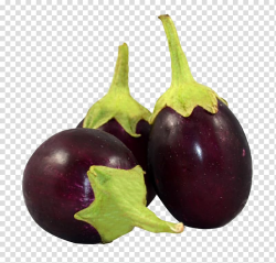 Three eggplants illustration, Eggplant Jalebi Tomato Urdu ...