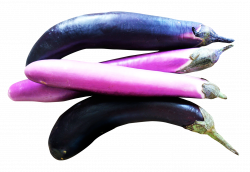 Eggplants PNG Image - PurePNG | Free transparent CC0 PNG Image Library