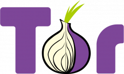 Am I Vulnerable When Using Tor?