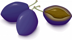 Clipart - plums