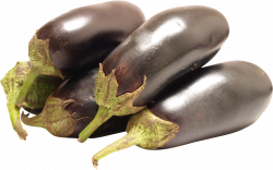 Eggplants PNG images free download