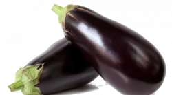 Eggplant PNG Images Transparent Free Download | PNGMart.com