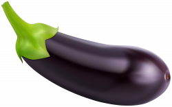 Eggplant PNG Clipart | Gallery Yopriceville - High-Quality ...