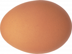Egg Ten | Isolated Stock Photo by noBACKS.com