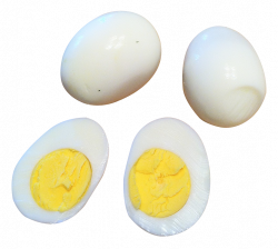 Egg PNG Images - PngPix