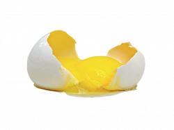 Cracked Egg PNG HD Transparent Cracked Egg HD.PNG Images. | PlusPNG