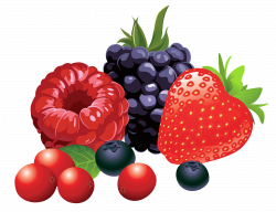 Berry Fruit Clip art - Forest Fruits PNG Vector Clipart Image 3480 ...