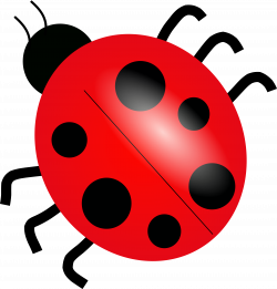Lady Bug Flying | Clipart Panda - Free Clipart Images