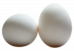 Egg PNG Transparent Image - PngPix