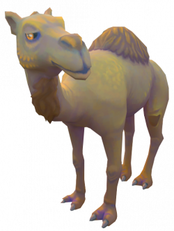 Neferti the Camel | RuneScape Wiki | FANDOM powered by Wikia