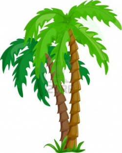 Tropical palm trees clipart – Gclipart.com