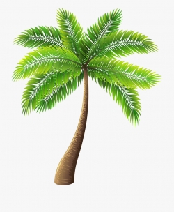 Scene Drawing Palm Tree - Tree Images Png Free Download ...