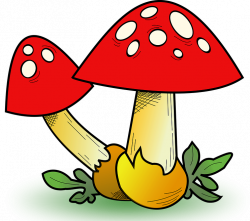 Mushrooms | Writing is Fun-damental– from Gwendolyn Hoff