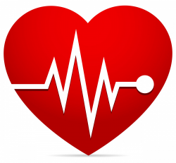 Heart-rate, EKG (ecg), Heart Beat Free Stock Photo - Public Domain ...