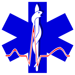 File:Paramedic cross 01.svg - Wikimedia Commons