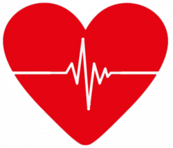 Screenings and Services for Heart Conditions | Bonner General Health