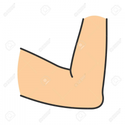 Download for free 10 PNG Elbow clipart body joint Images ...