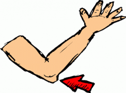 Cartoon Elbow | Regular Clip Art» Body Parts» elbow.gif | Projects ...