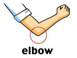 Elbow Clipart Cliparts, Clip Art Elbow - Pillow