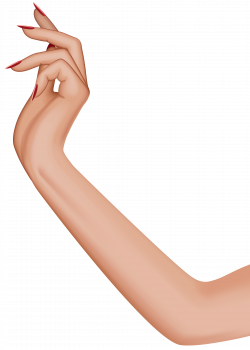 Thumb Hand model Thigh Shoulder Human leg - Female Hand Transparent ...