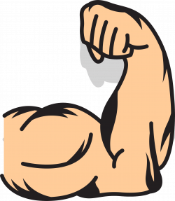 Muscle arms Muscle arms Clip art - strong arms 2006*2308 transprent ...