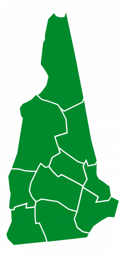 New Hampshire Democratic primary, 2016 - Wikipedia