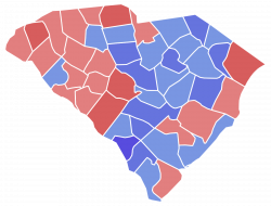 South Carolina gubernatorial election, 2010 - Wikipedia