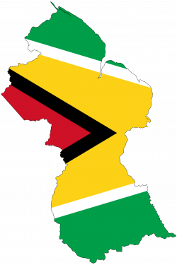 Uncharted Territory in Guyanese Legislative Elections – Repeating ...