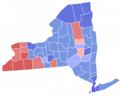 New York gubernatorial election, 2010 - Wikiwand