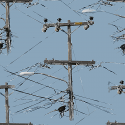 Clipart - power lines