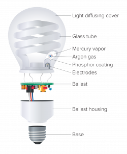 Fluorescent Light Bulb Diagram. Latest The Yellow Light Bulb Diagram ...