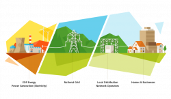 How EDF Work | What EDF Do | EDF Energy