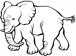 Elephant Image Result For Black And White Elephants Plain ...