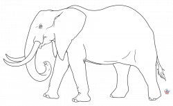African elephant stencil - crazywidow.info