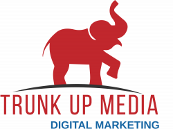 Services: Company online presence analysis and audit | Trunk Up Media